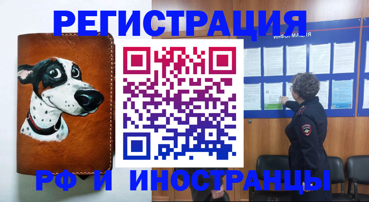 временная регистрация законно в Змеиногорске